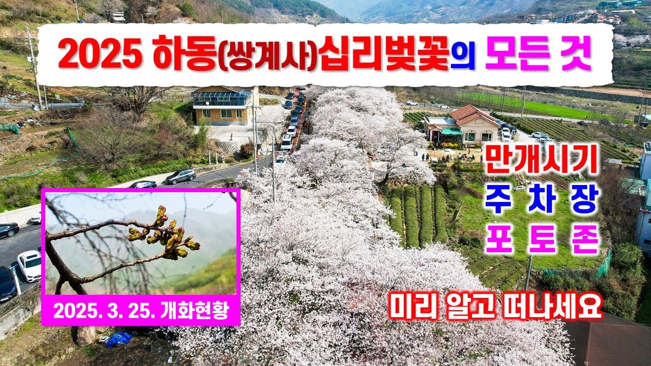 2025년 하동 십리벚꽃길 안내 - 벚꽃 만개시기, 주차장, 포토존
