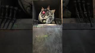 Eclipse At Pax West Asmr