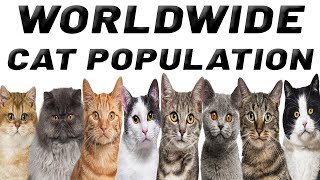 Worldwide CAT Population by Deer Lodge Wildlife & Nature Channel 114 views 10 months ago 1 minute, 45 seconds