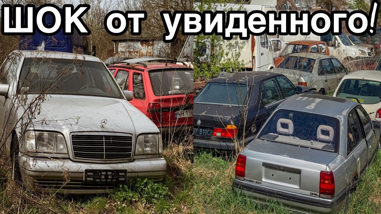 НАШЁЛ сотни БРОШЕННЫХ авто 80-х и 90-х. РЕДКИЕ Мерседесы - Заброшенная Прибалтика.