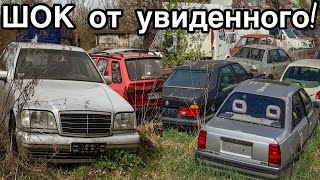 НАШЁЛ сотни БРОШЕННЫХ авто 80-х и 90-х. РЕДКИЕ Мерседесы - Заброшенная Прибалтика.