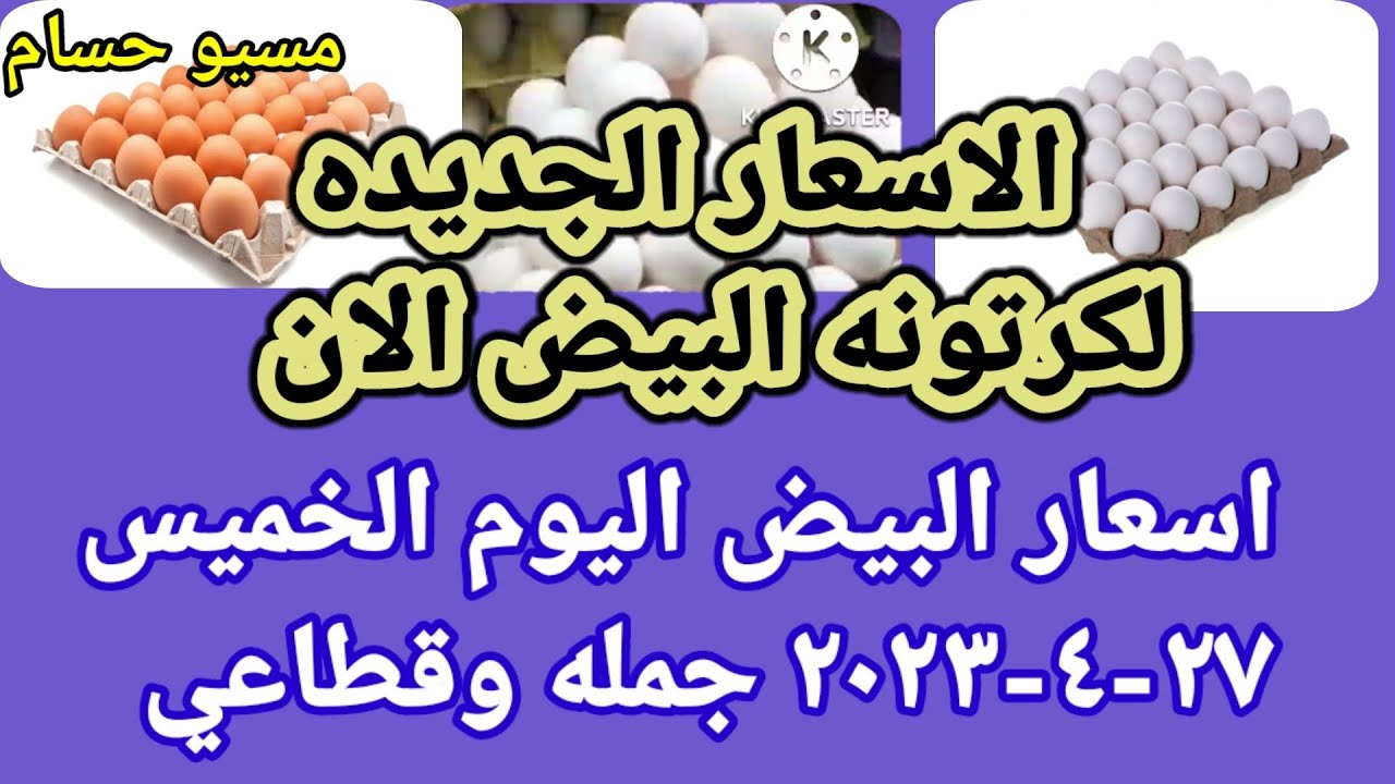 سعر البيض اسعار البيض اليوم الخميس ٢٧-٤-٢٠٢٣ جملة وقطاعي فى مصر سعر البيض اسعار البيض اليوم الخميس ٢٧-٤-٢٠٢٣ جملة وقطاعي فى مصر