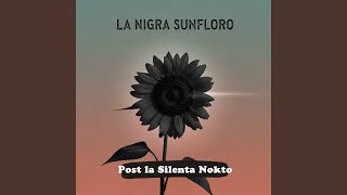 Download Lagu Ni Ne Scias Kie Iri MP3