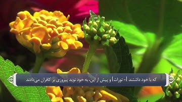 تصدیق کتاب های آسمانی از سوی قران_سوره بقره آیه 89