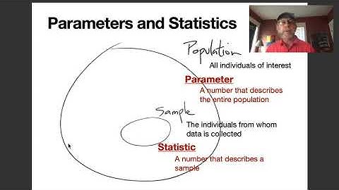 Parameters and Statistics
