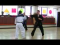 Tanbon Hapkido GHF