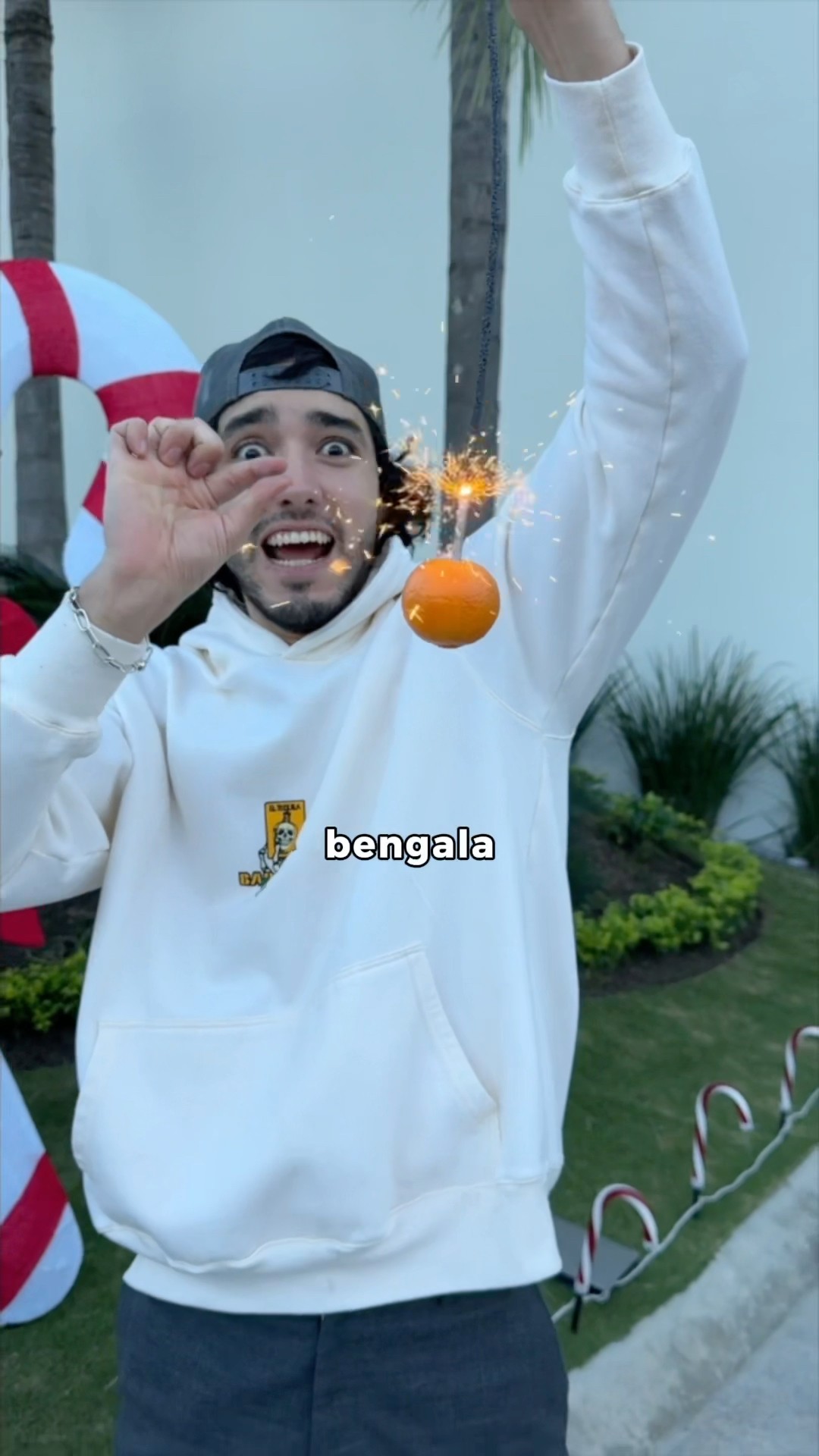 PUEDES HACER QUE UNA FRUTA BRILLE??ASI ILUMINA