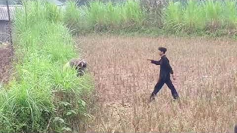 xem lễ cấp sắc tại thôn nà báu xã Ngọc đường thành phố HG &  Hát Dao Tẩn Mìn