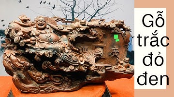 Tượng gỗ: Di Lặc ngũ tiểu ngồi sâm gỗ trắc đỏ đen | Tượng phật di lặc gỗ | Xưởng Tượng Gỗ