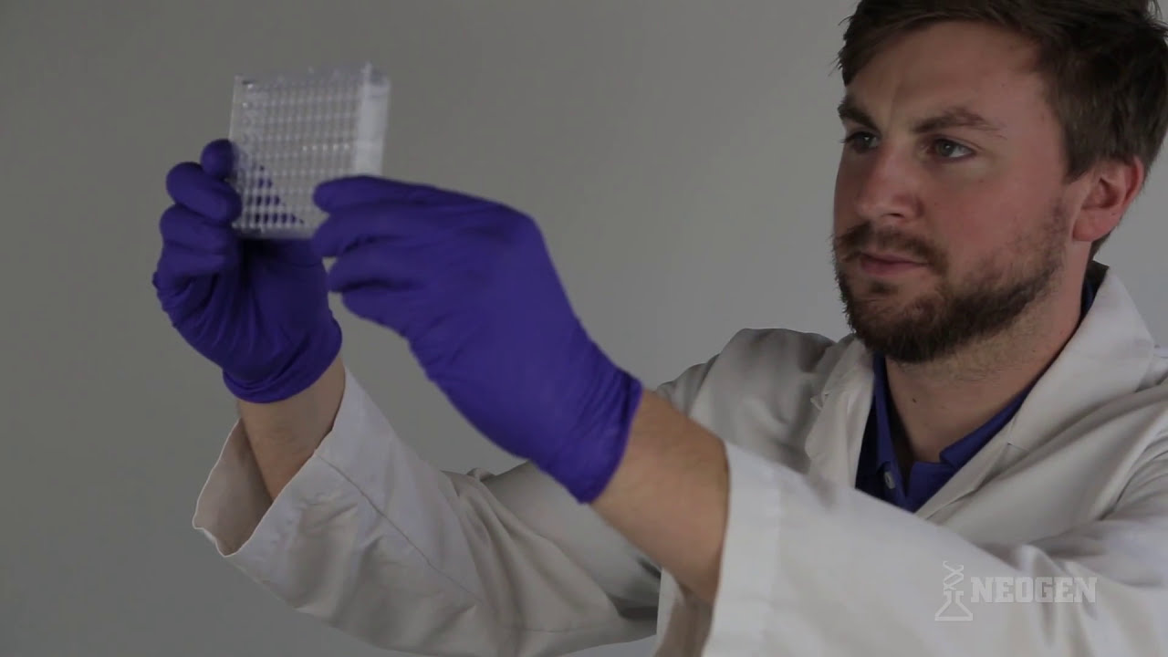 dairy cow Veratox® for Total Aflatoxin Training