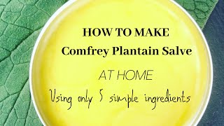 How to Make Comfrey Plantain Salve at Home with 5 simple ingredients! Amazing Healing Salve!
