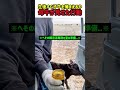 【必死なお母さん】どこに行くの？とトコトコ後ろを離れない母牛が健気で切ない...　#牛 #牧場 #動物の赤ちゃん #雑学 #母の愛 #親子の絆 #動物のいる暮らし #ドキュメンタリー #shorts