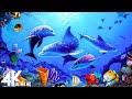 Aquarium 4K VIDEO (ULTRA HD) - Beautiful Coral Reef Fish - Sleep Relaxing Meditation Music