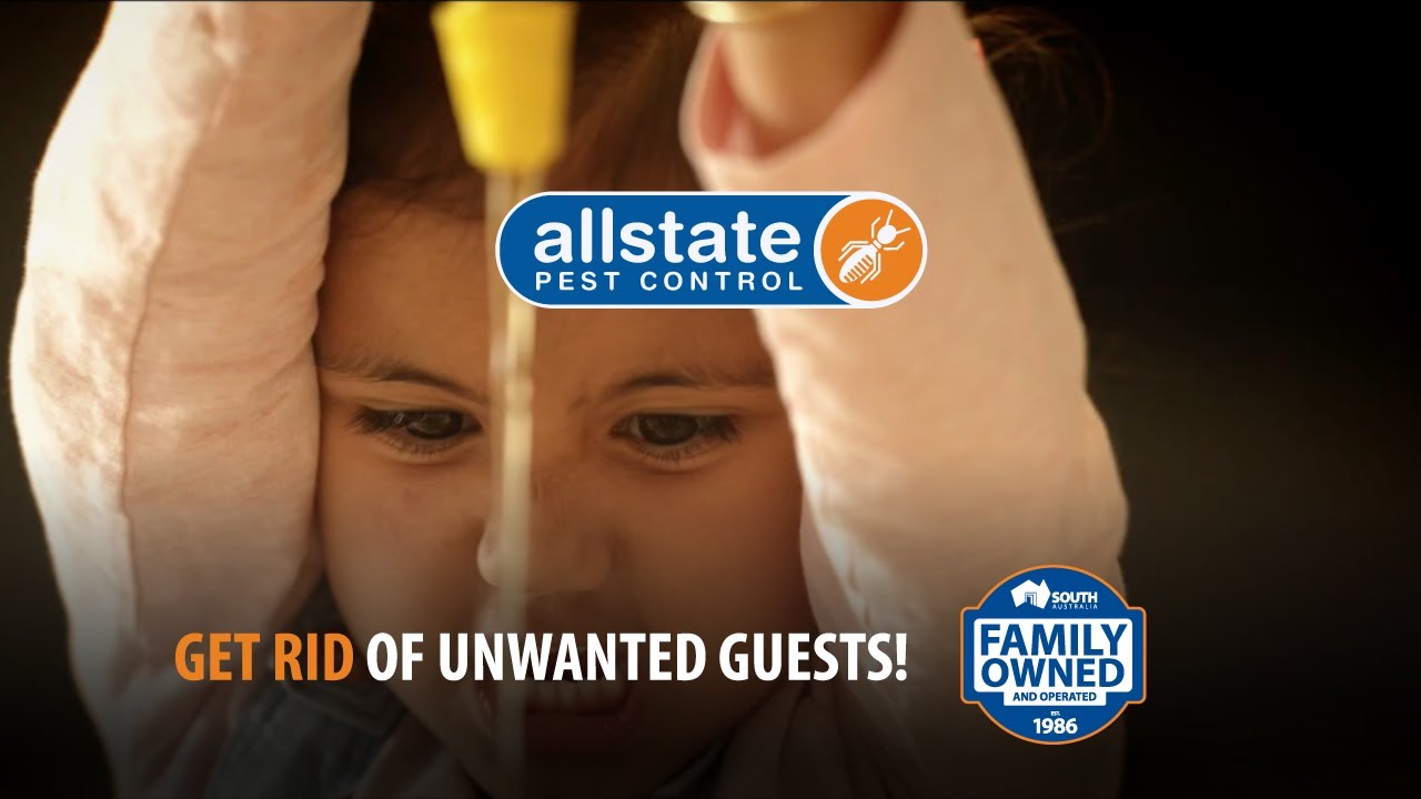 Allstate Pest Control Ants in Your Sandwich YouTube