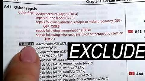 HIT 220.221 Coding Handbook Chapter 13 Exercises Part 1 (This was Ch. 14 in previous editions.)