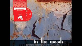Watch In The Woods Titan Transcendence video