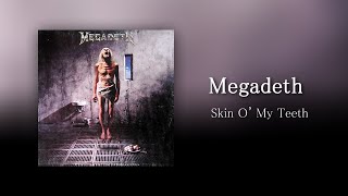 Megadeth - Skin O' My Teeth (Guitar Backing Track with Tabs)