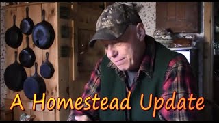 A HOMESTEAD UPDATE  Off Grid Living Vlog #138