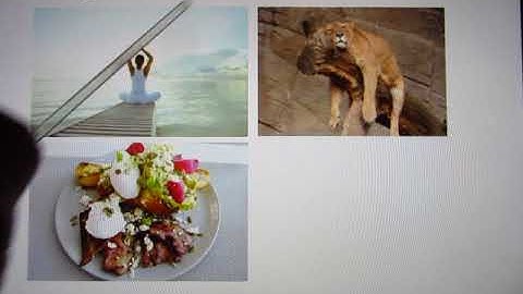 ACC Biol2401 AP I ANS Online Lecture