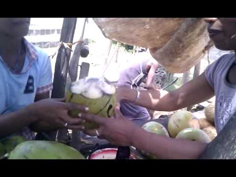 Видео: VIDEO0091   coconuts