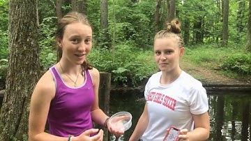 Macroinvertebrate Sampling - Clip from "Protecting Fish Brook, A Documentary"