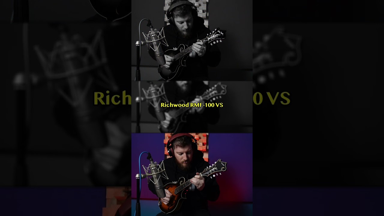 Harley Benton HBMA-100 vs Richwood RMF-100