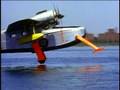 Seaplane History -Goose