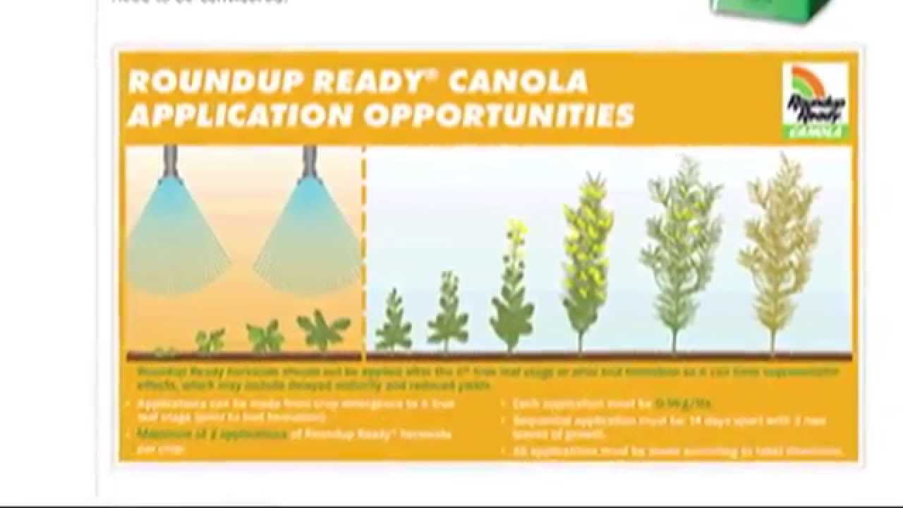 [Part3&4] Chemtrails, Bill Gates and Monsanto (Part III) Connecting