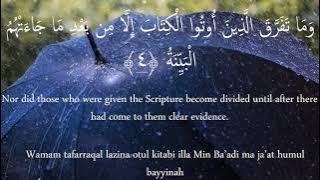 Surah Bayyinah X10 | Mishary Rashid Al Afasy | Beautiful Recitation