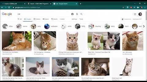 CS50 Web 2020: Project-0: Search