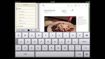 MobileNoter SE for iPad
