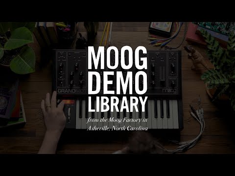 Moog Mother Series Touring Rig Moog Modules with Cases & Cables 