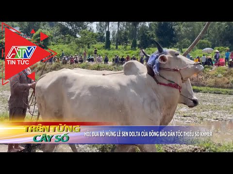 Video Hội đua bò mừng Lễ Sen Dolta của đồng bào dân tộc... - youtube