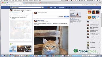 SocialExcel and Evolphin Zoom Demo