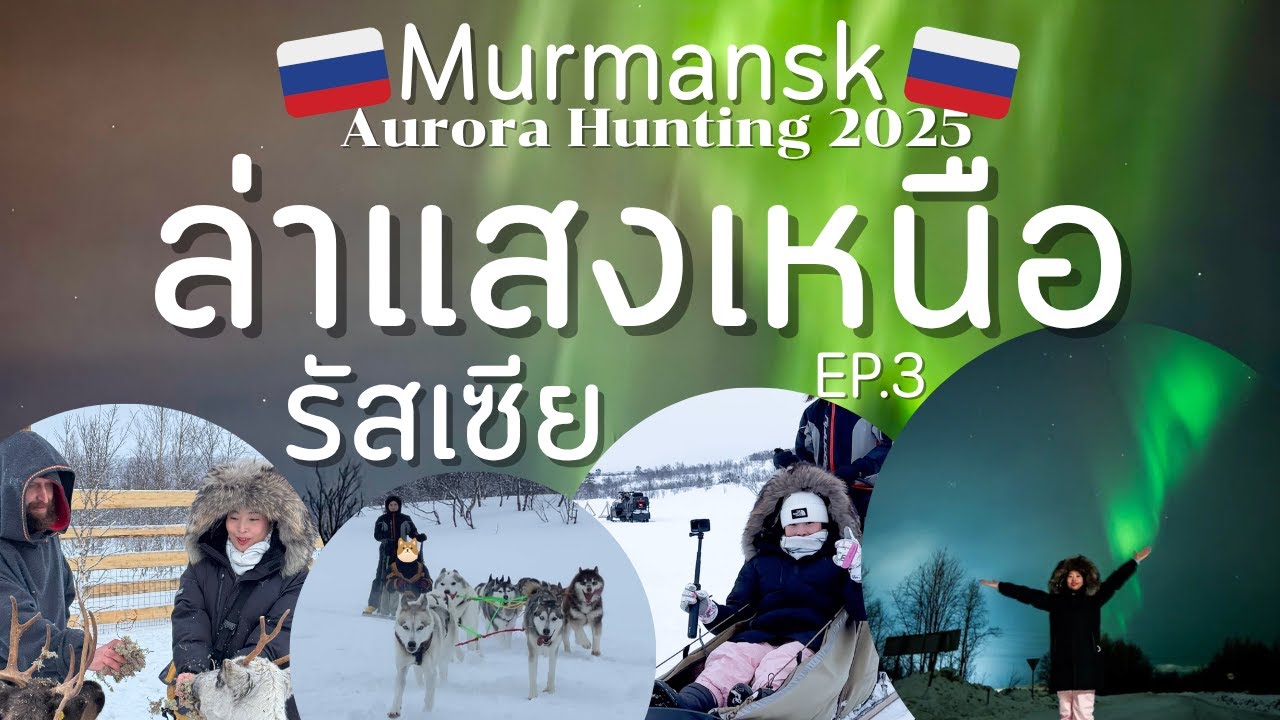 ทัวร์รัสเซีย EP.3 – Murmansk Russia แสงเหนือครั้งแรกในชีวิต กับกวางเรนเดียร์และสุนัขลากเลื่อน