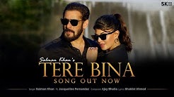 Tere Bina | Salman Khan | Jacqueline Fernandez | Ajay Bhatia