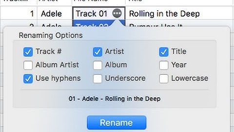 Batch renaming of music from metadata on Mac OS with Tag Editor by Amvidia