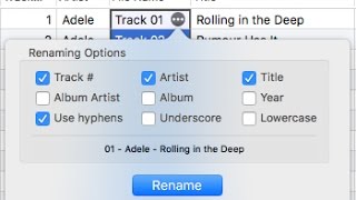 Batch renaming of music from metadata on Mac OS with Tag Editor by Amvidia screenshot 3