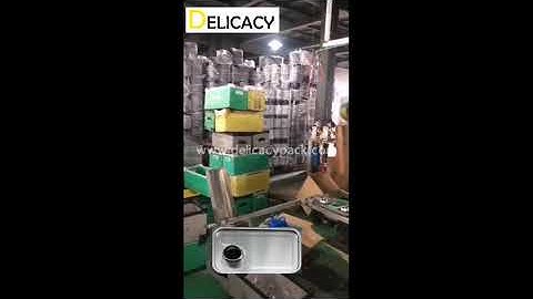 Rectangular can top lid hole punching machine