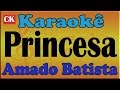 Amado Batista - princesa  -  Karaoke