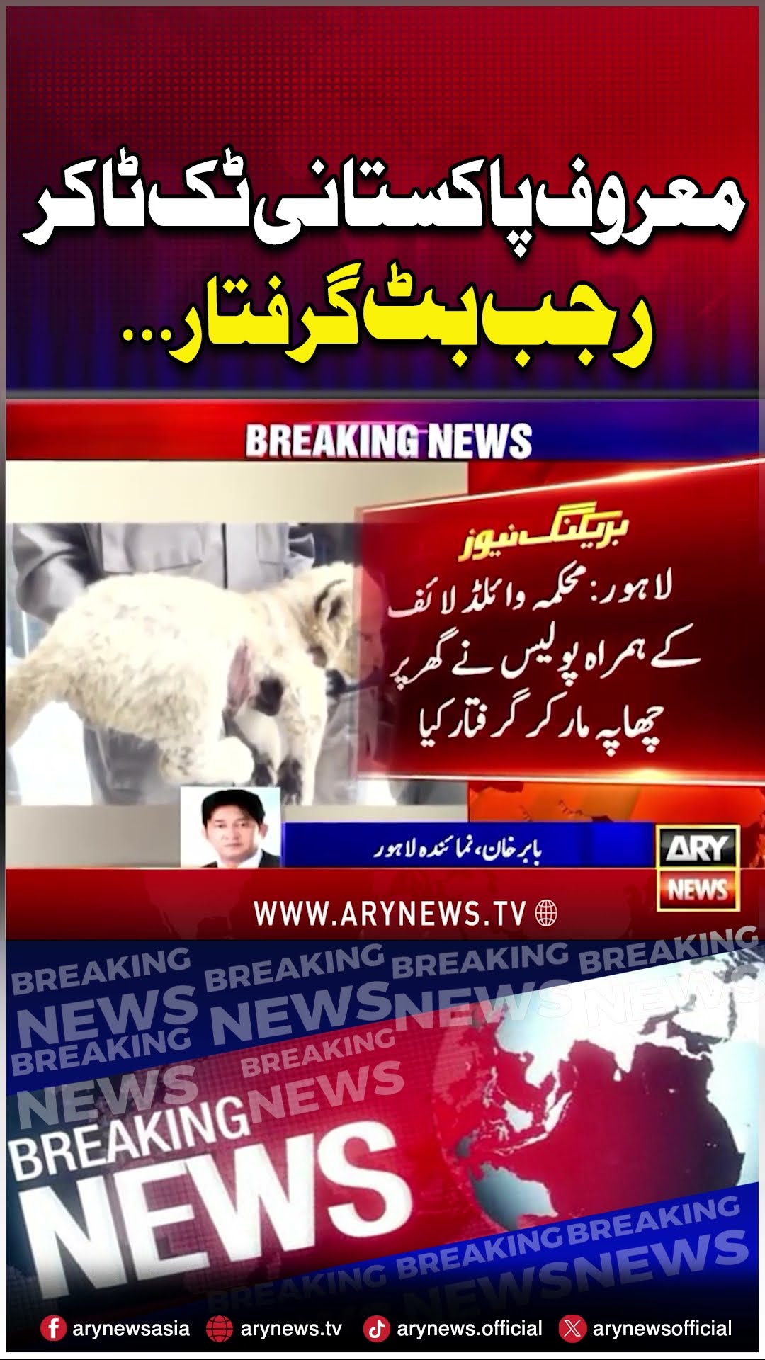 YouTuber Rajab Butt arrested in Lahore #rajabfamily #rajabbutt #rajabbuttwedding #tiktoker #youtuber