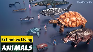 Extinct vs Living Animals 3D Comparison: Who