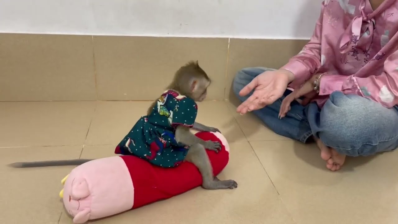 Sadd Koy tiny sit drammma for mom’s attention 