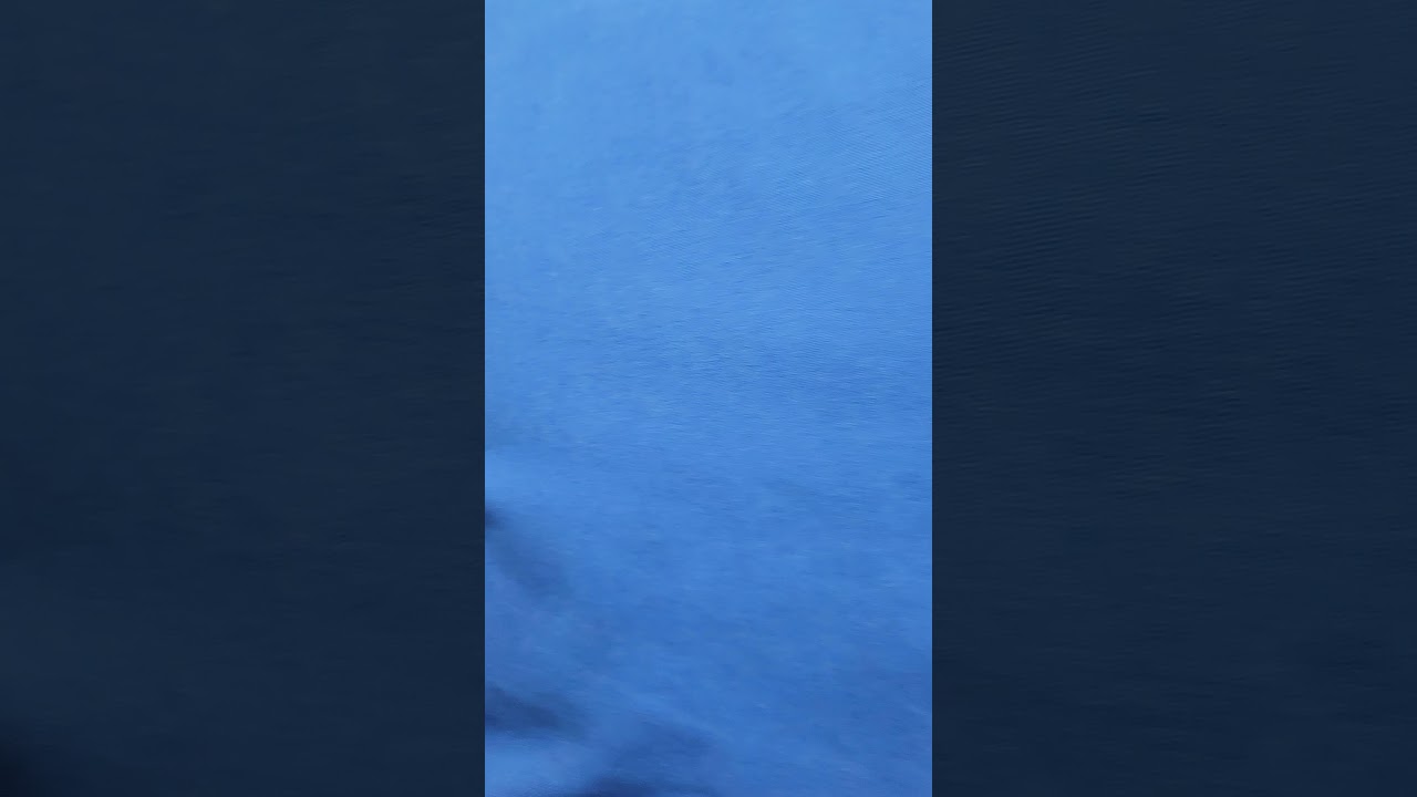 15 months old shots...