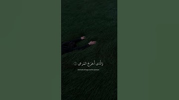 سورة الأعلى/عبد الرحمن مسعد 🤍🧕🤎
