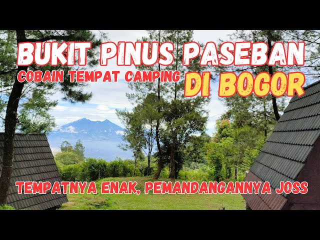 Camping di Bukit Pinus Paseban | Tempat Camping Enak di Pinggir Sungai | Lengkap Banget class=