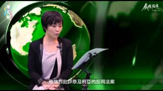 菊花新聞 20140317