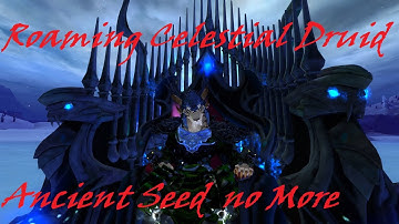WvW Roaming, Celestial Druid, Ancient Seed no More #guildwars2