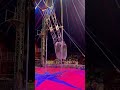 Circus رياضة Statusvideo Sports Status اصحابي حالات سيرك حركات حالات واتس 
