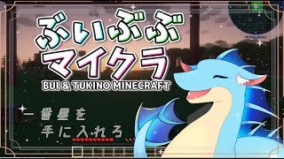 【ぶいぶぶマイクラ】一番星を手に入れろ  #4 【ふぃるどら】